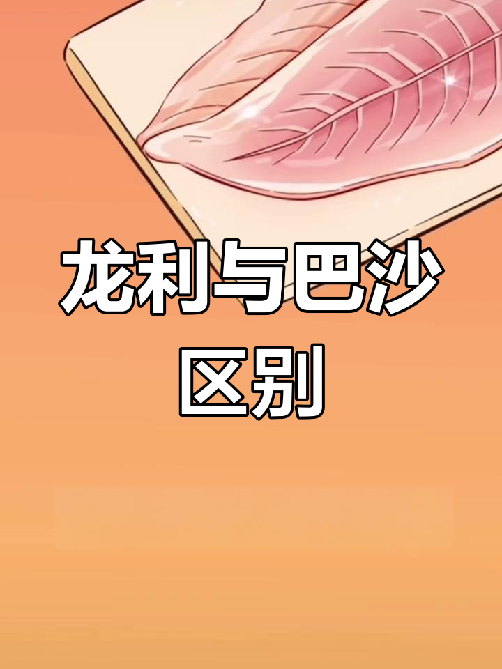龙利鱼和巴沙鱼的真相,价格差异大揭秘