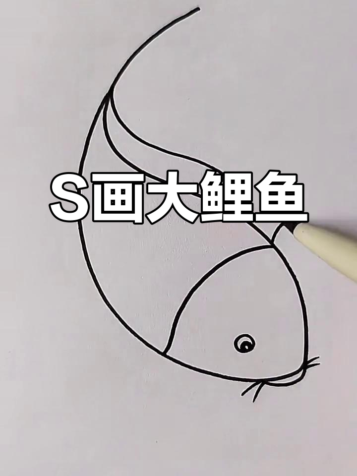 用S笔画大鲤鱼,简单又有趣!