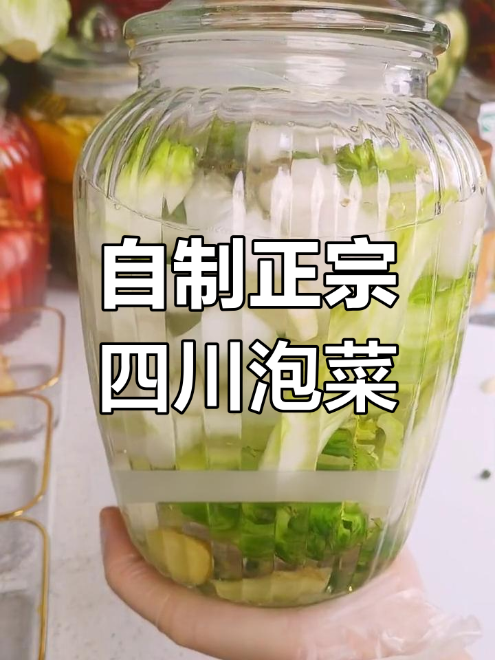 四川泡菜轻松做,酸辣爽口超下饭
