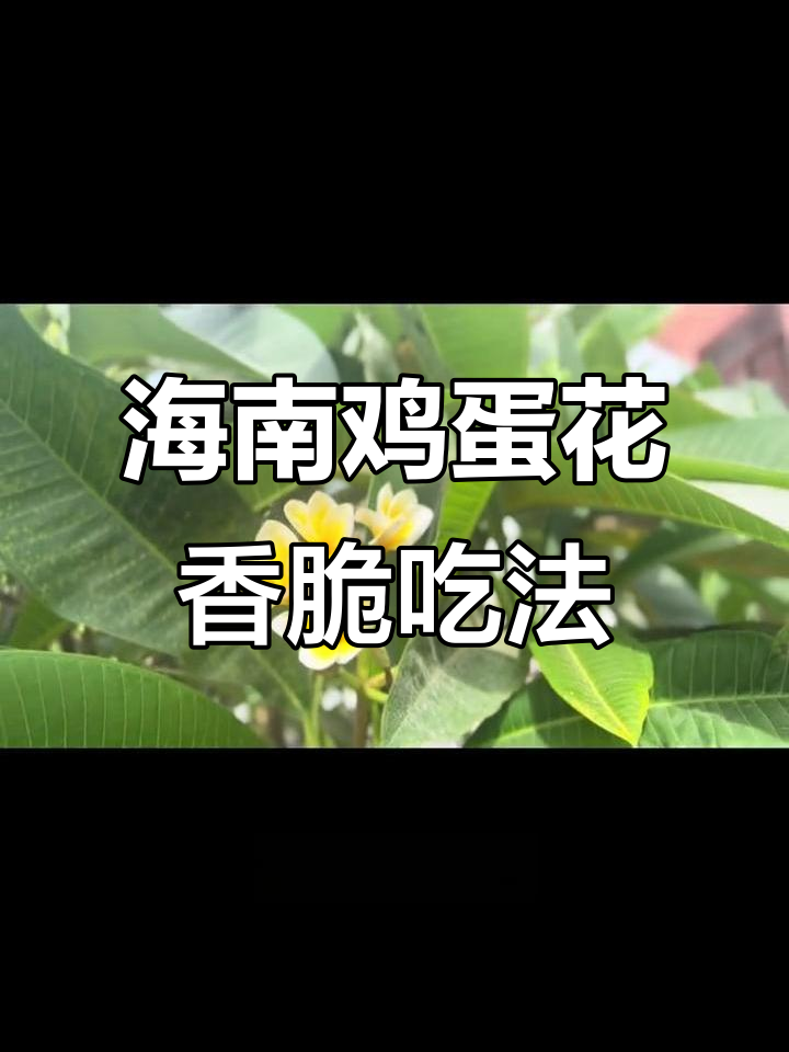 海南特色,鸡蛋花蘸蛋液炸制,香脆可口!