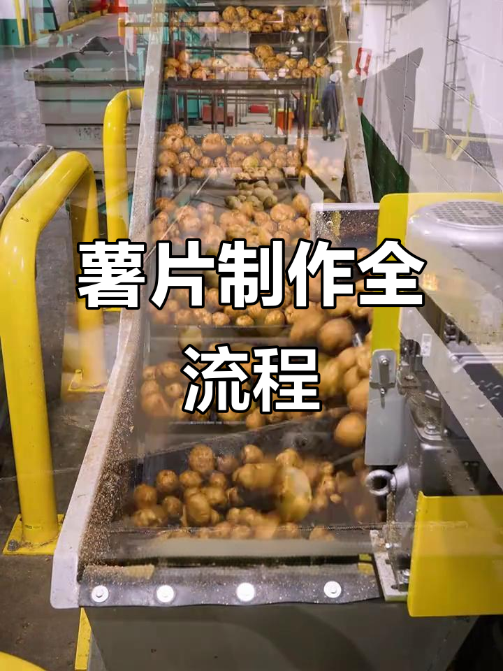土豆变薯片的神奇工厂之旅，揭秘制作过程