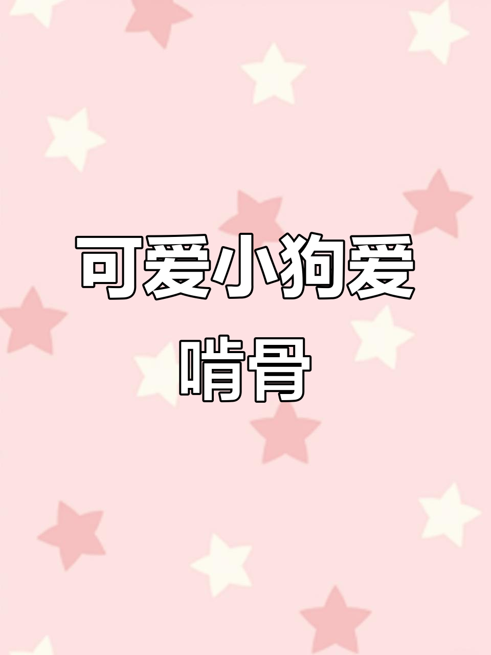小狗爱吃肉骨头,陪伴左右的朋友