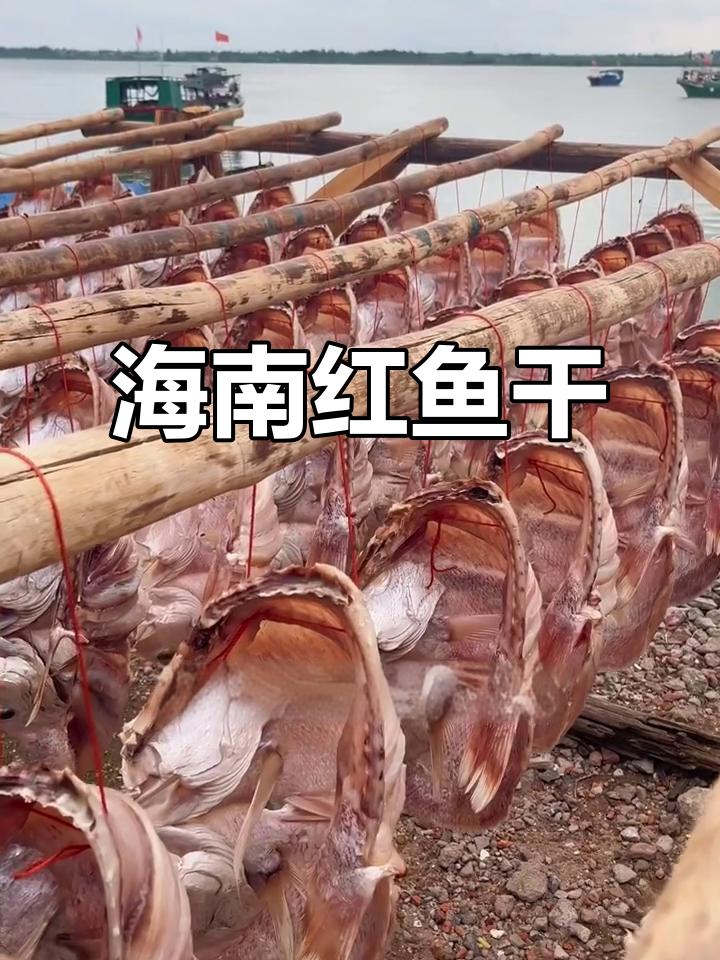 海南儋州红鱼干:渔孙散风味,咸香下饭送礼佳选