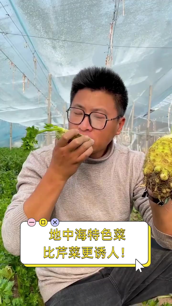 地中海特色菜,比芹菜更诱人!