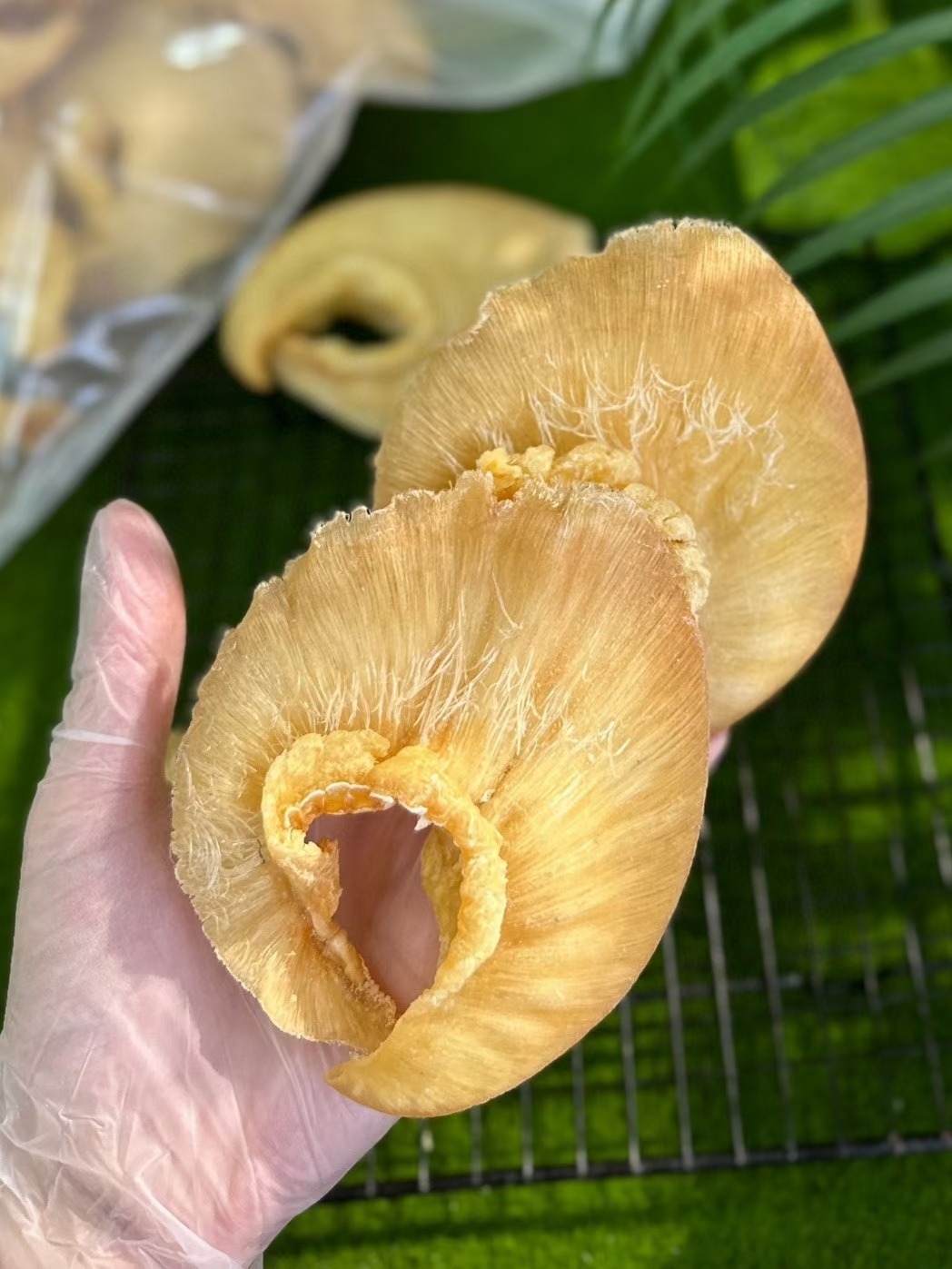 鱼翅·金钩翅泡发和吃法