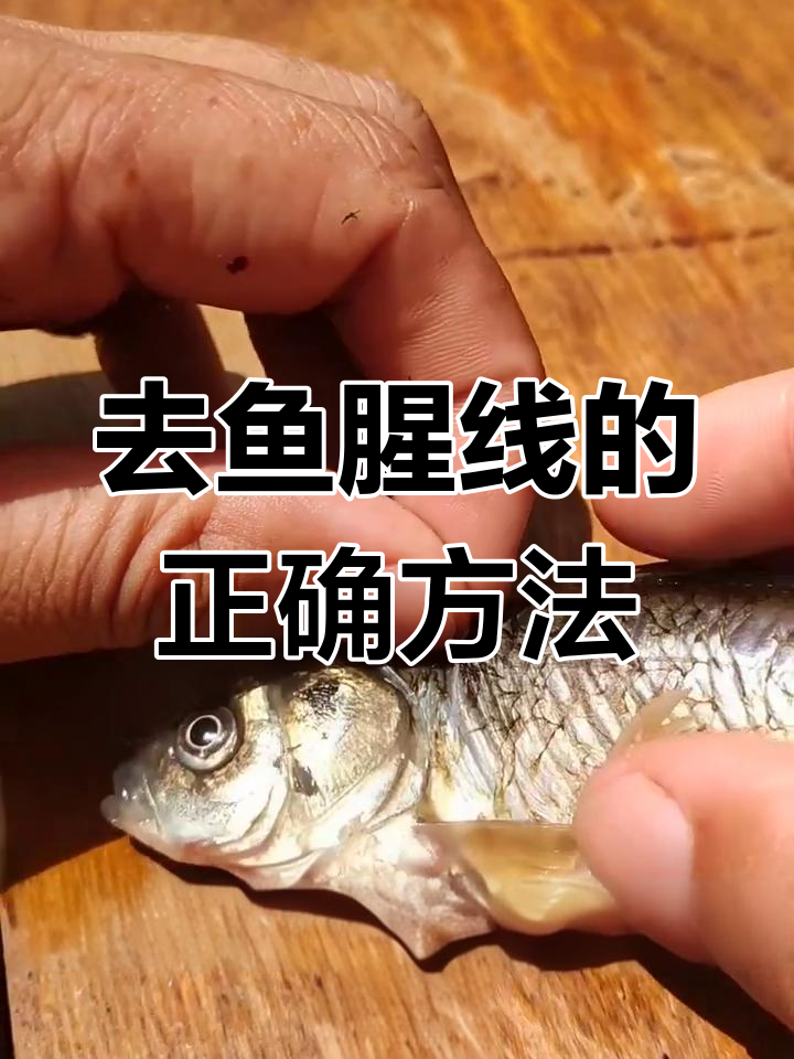 轻松去鱼腥线，掌握技巧不费力