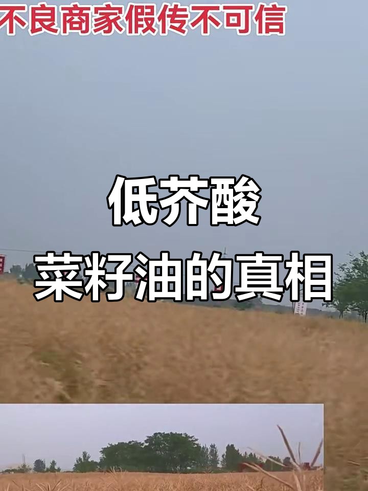 菜籽油低芥酸,选对品种不上当