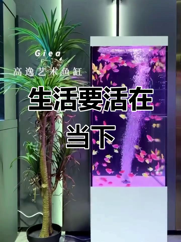 生命的意义不在过去或未来,就在当下这一刻