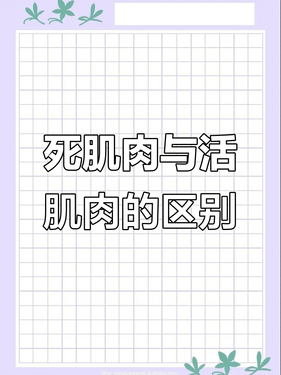 健身房力量训练真的练不出灵活肌肉？拳击手告诉你真相