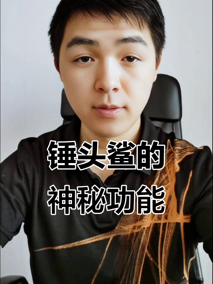 双髻鲨的“锤子”其实是雷达，能探测雷区与猎物