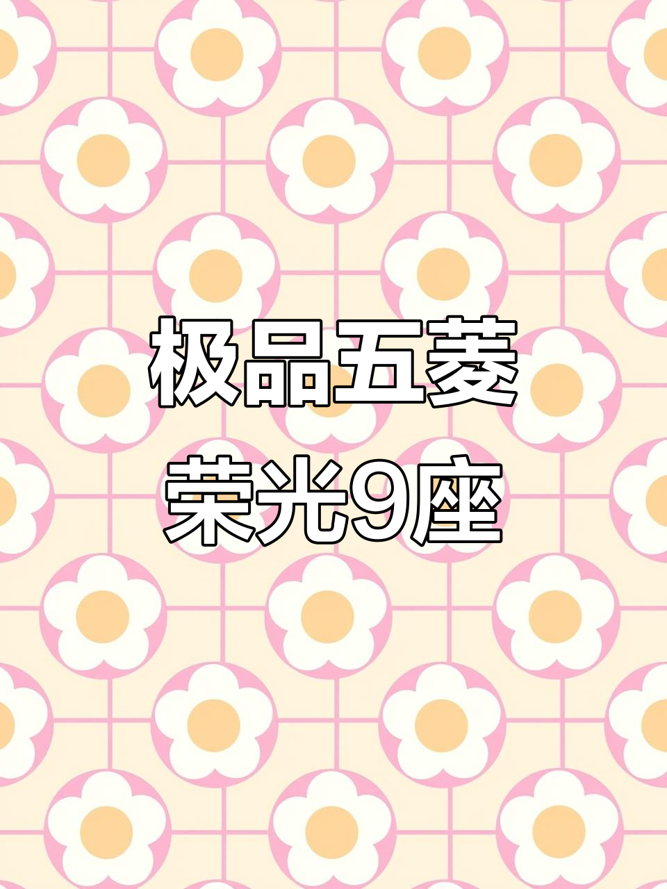 五菱荣光加长版9座,车况完美,超值二手面包车