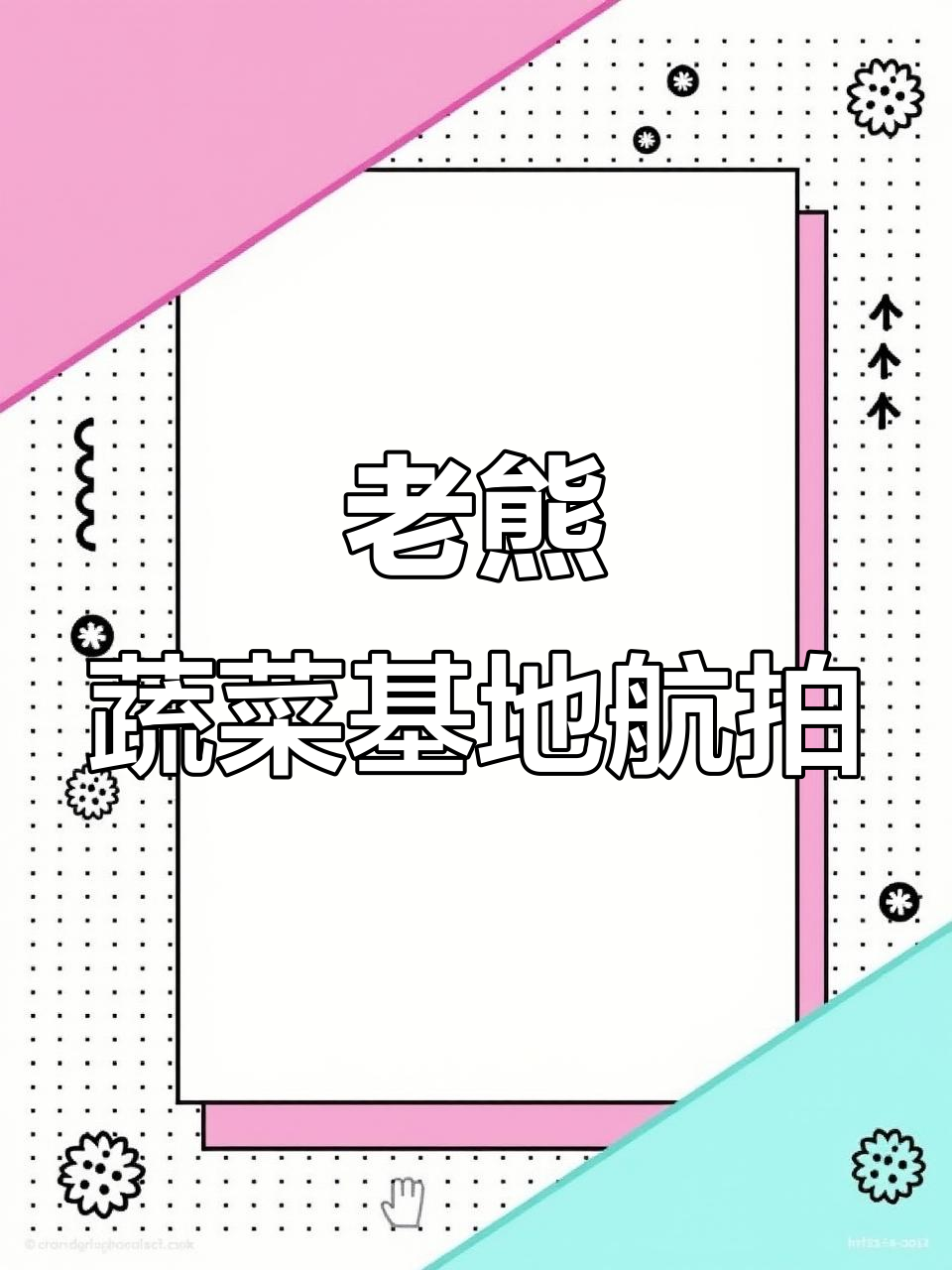 航拍老熊绿色蔬菜基地，生态种植一角展示