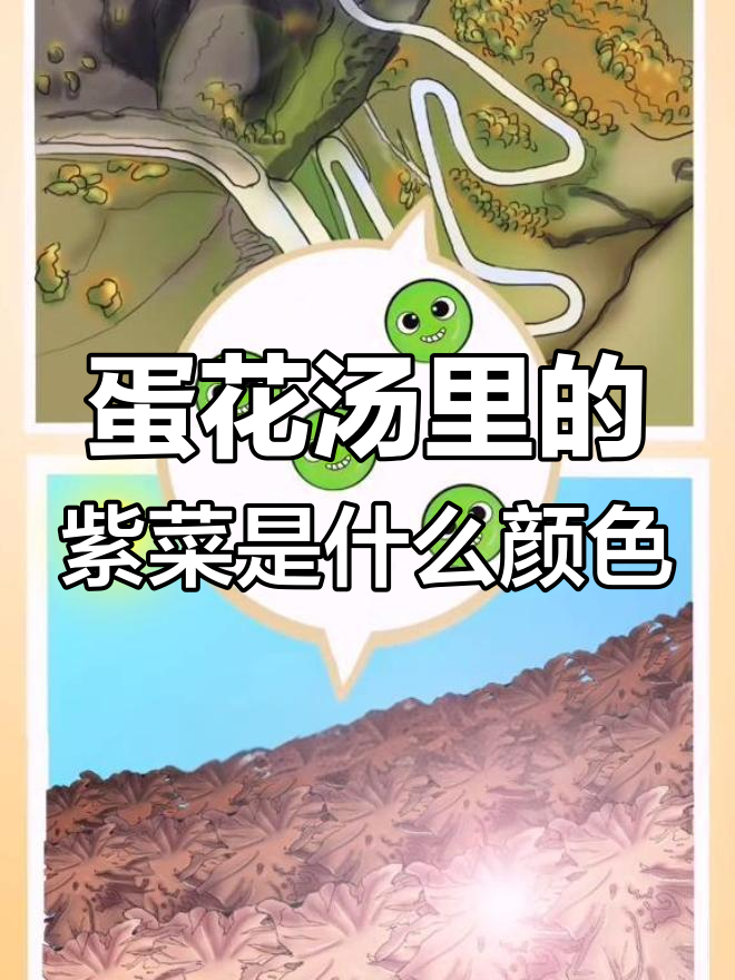 紫菜的颜色变化揭秘