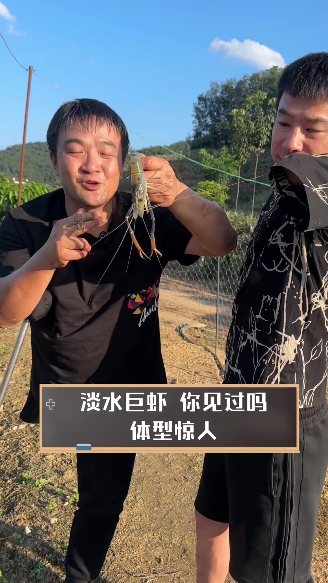 淡水巨虾,你见过吗,体型惊人