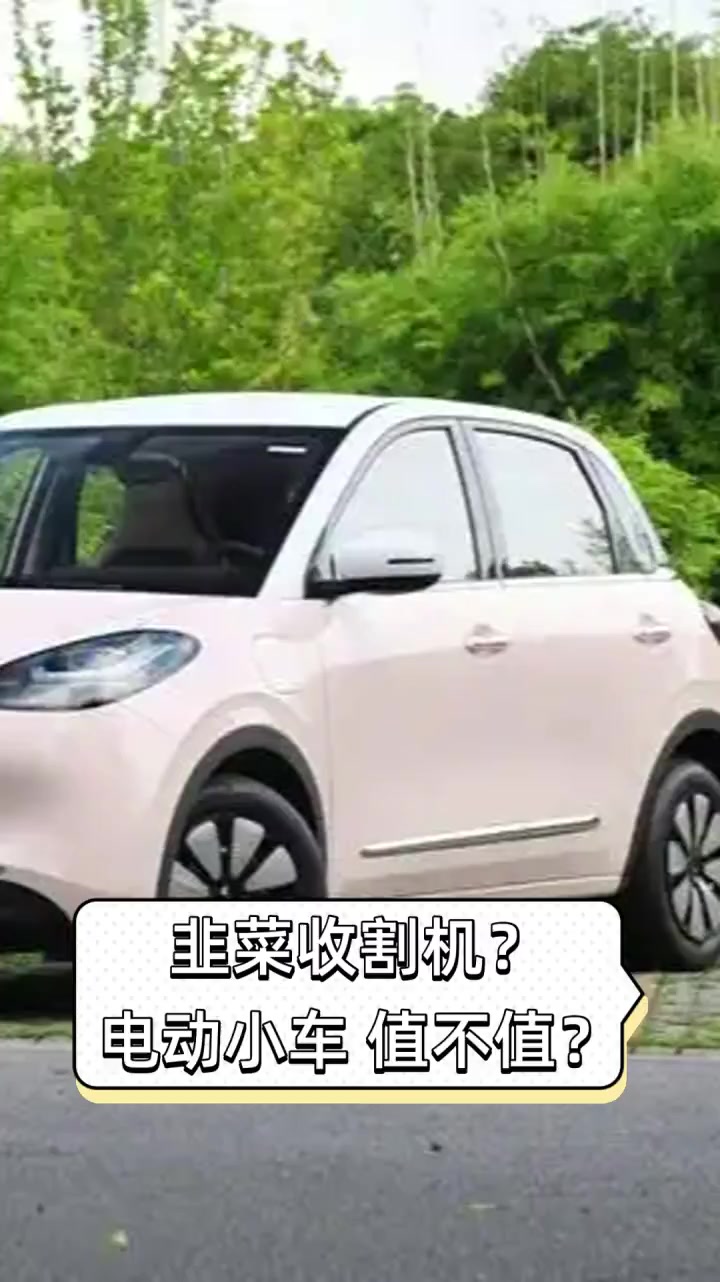 韭菜收割机?电动小车值不值?