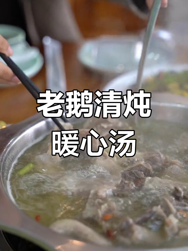 秋冬必备老鹅煲,滋补又美味