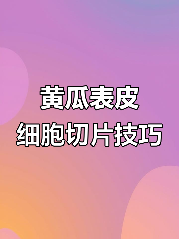 黄瓜表层果肉细胞临时装片制作技巧，秒变实验大神！