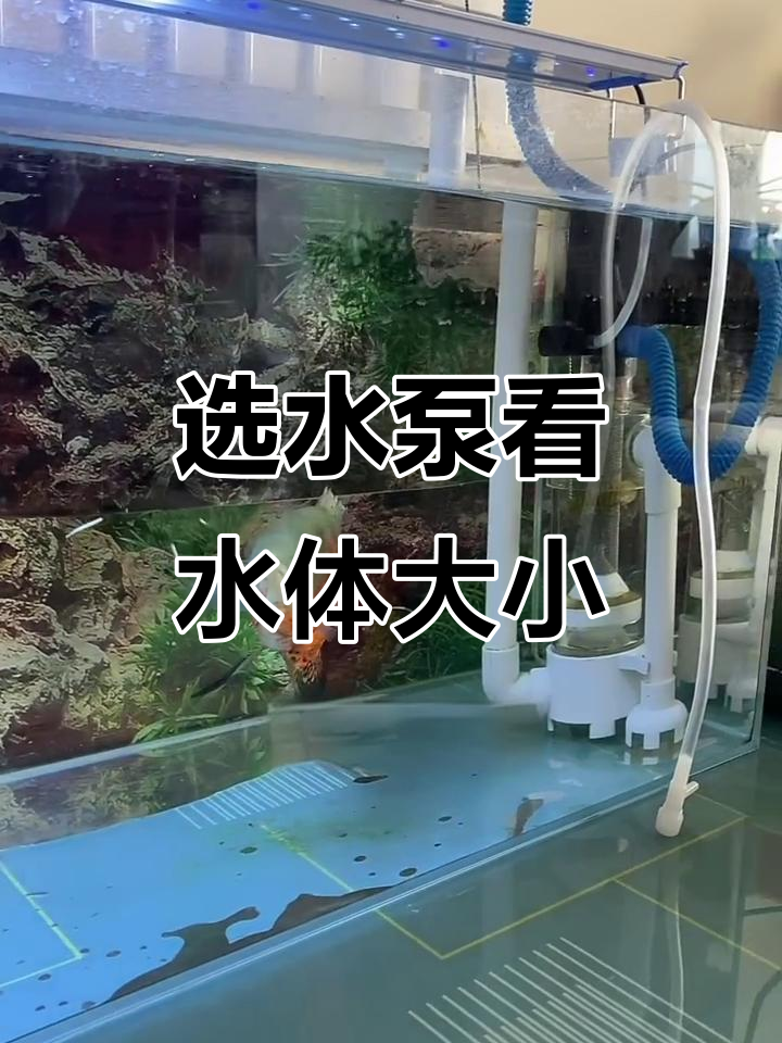 水泵功率如何选择?根据鱼缸大小匹配最合适