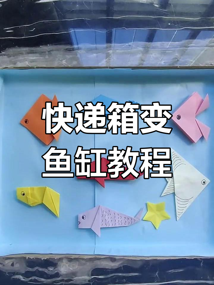 用废纸箱打造创意鱼缸,给小鱼一个温馨的家
