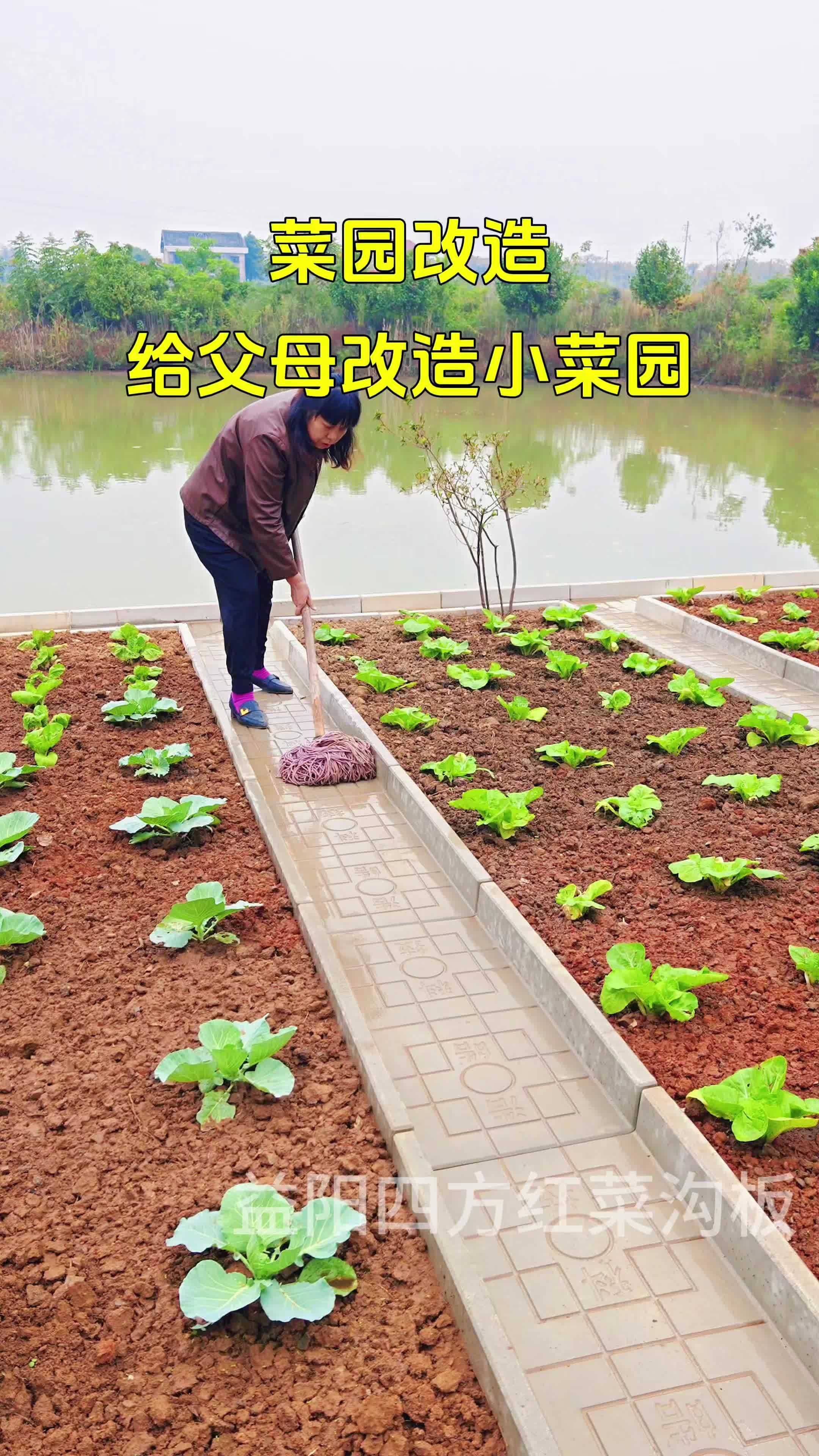 我的田园生活 菜沟板 小菜园 院子改造 在家种菜