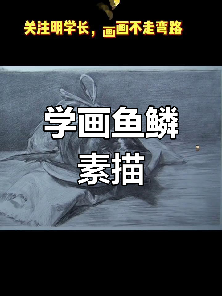 鱼鳞素描技巧大揭秘,如何画出完美高光质感