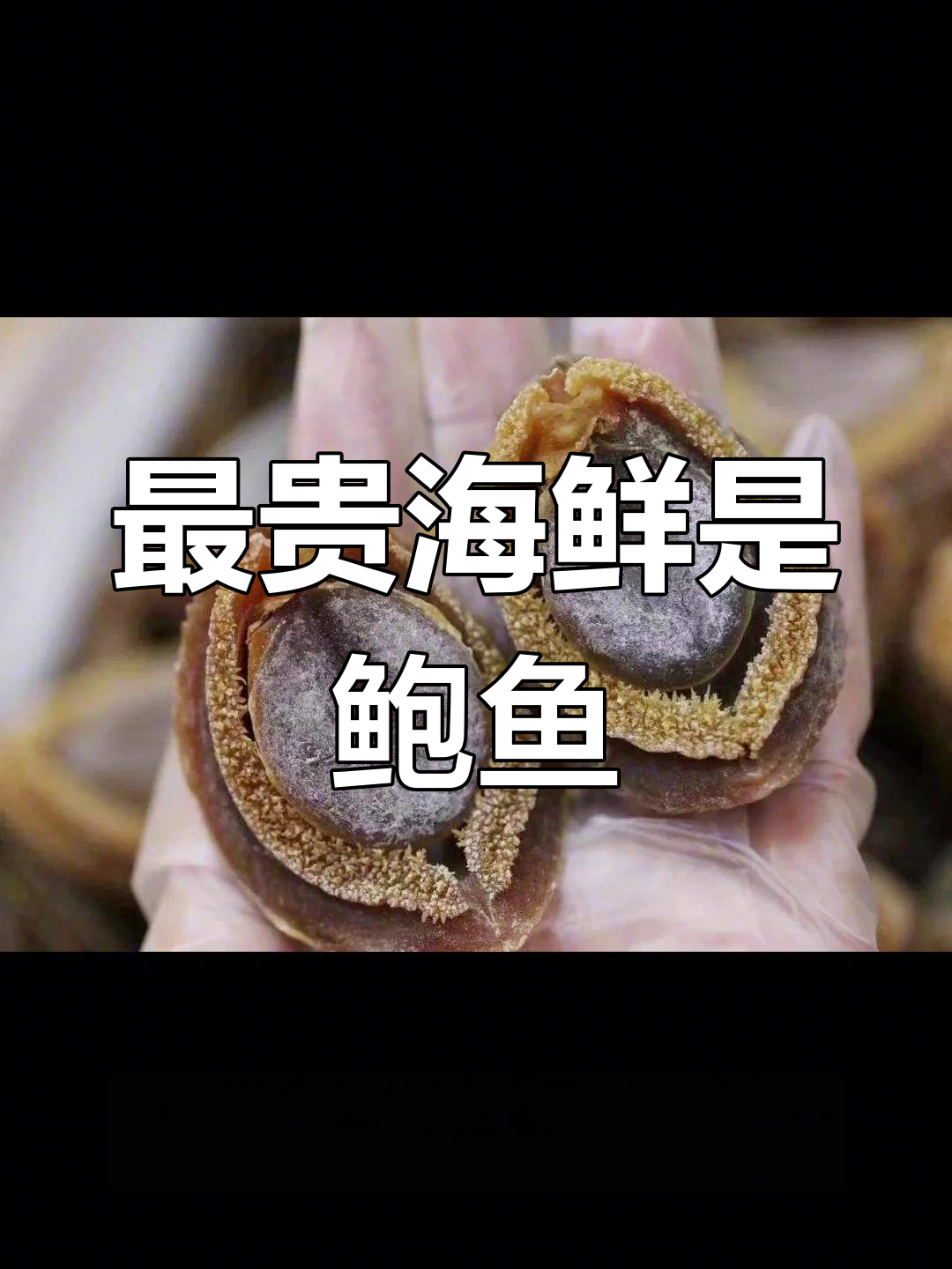 世界上最昂贵的鲍鱼品种揭秘