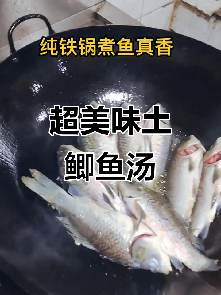 土鲫鱼汤鲜美无比,水煮做法大揭秘