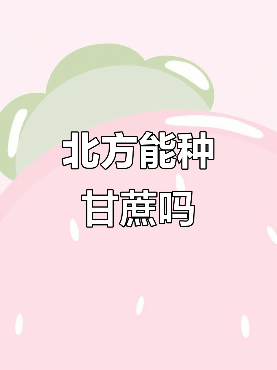 北方甘蔗种植的挑战与机会,如何选择适合品种
