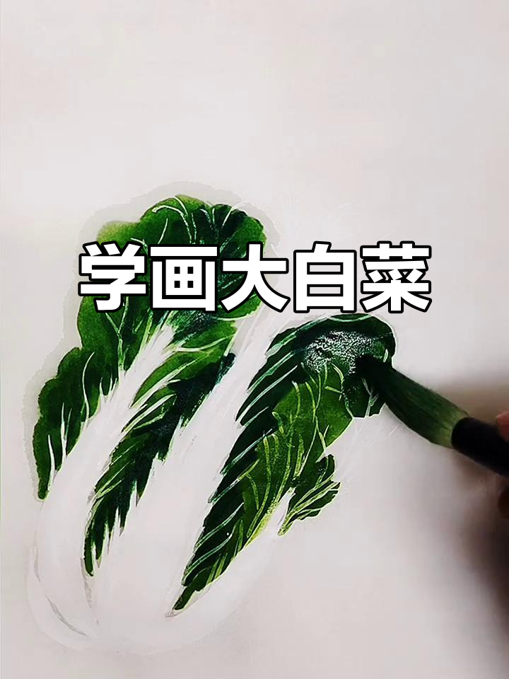 画白菜,轻松掌握国画技巧