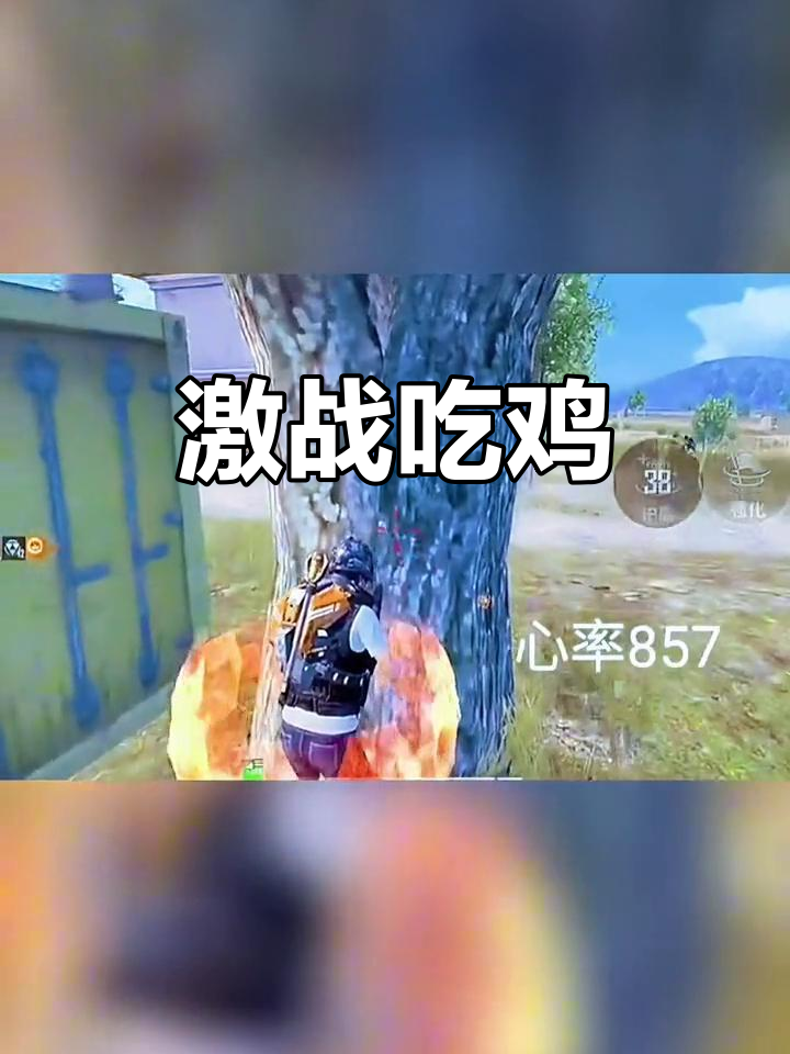 吃鸡大作战,快来一起战斗!