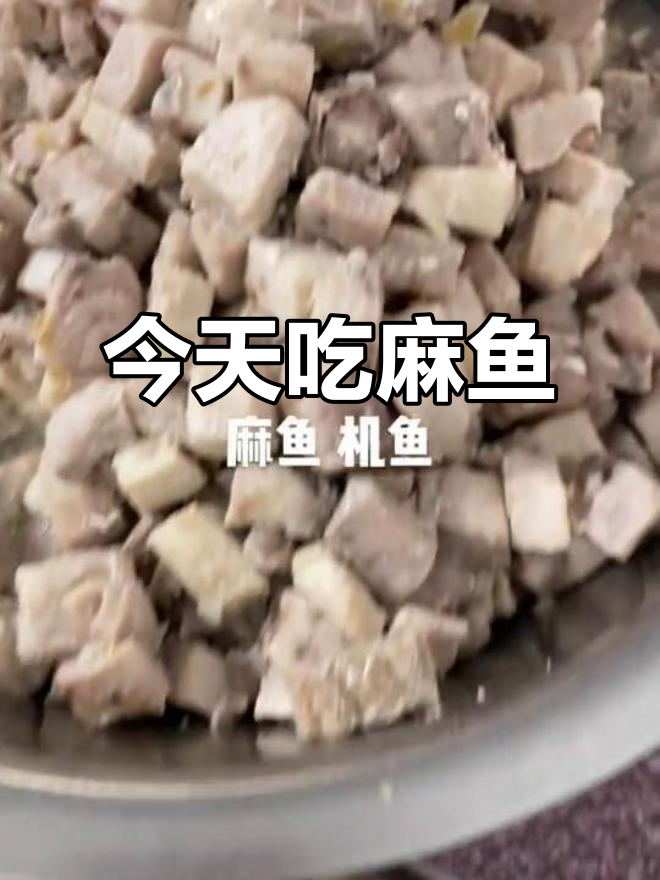 今日麻鱼机鱼大揭秘,新鲜美味不容错过