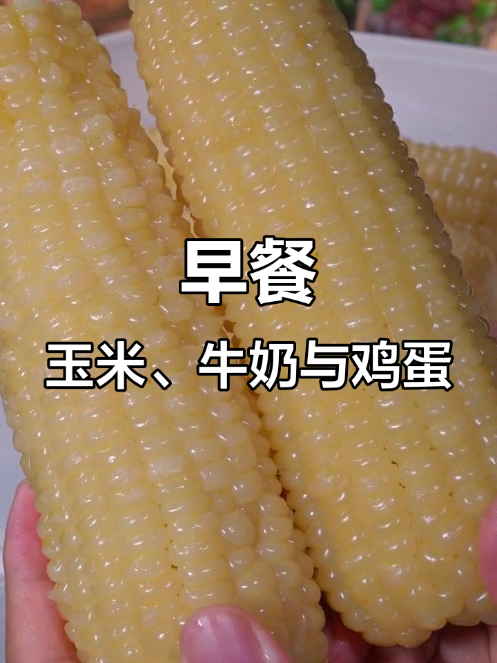 玉米牛奶鸡蛋搭配,营养早餐轻松搞定