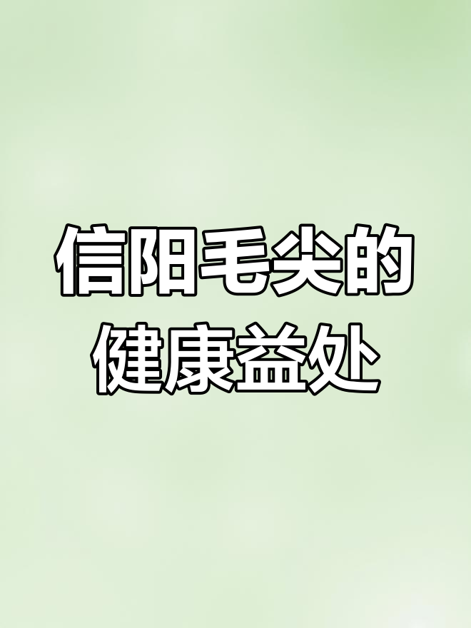 信阳毛尖的养生功效与作用