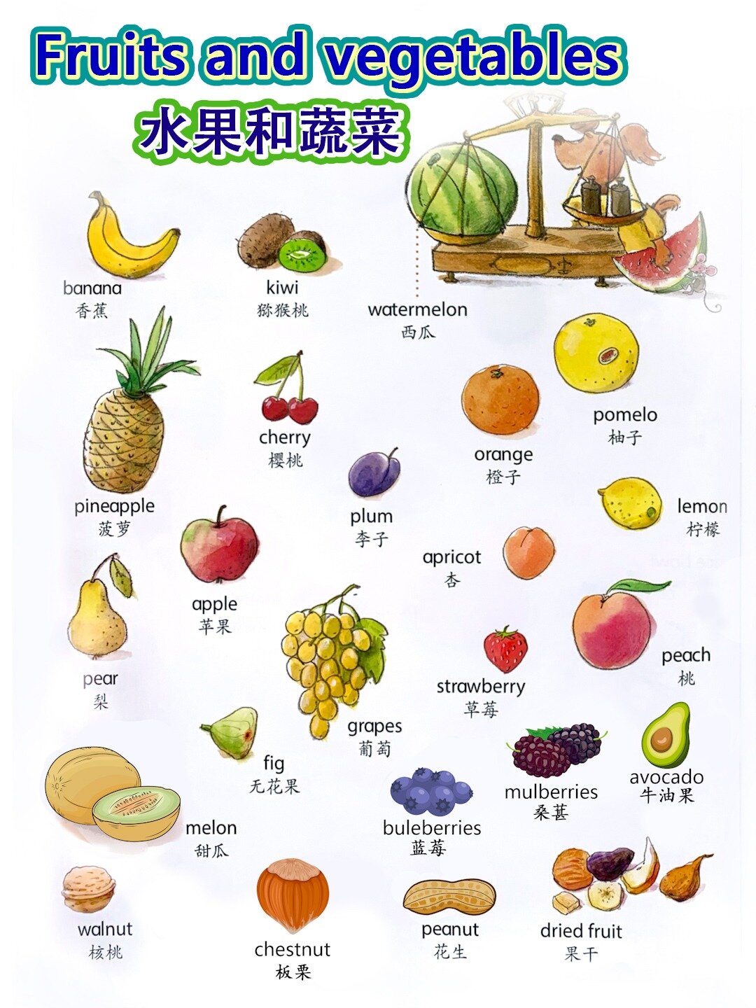 水果和蔬菜英语词汇(日常高频)
