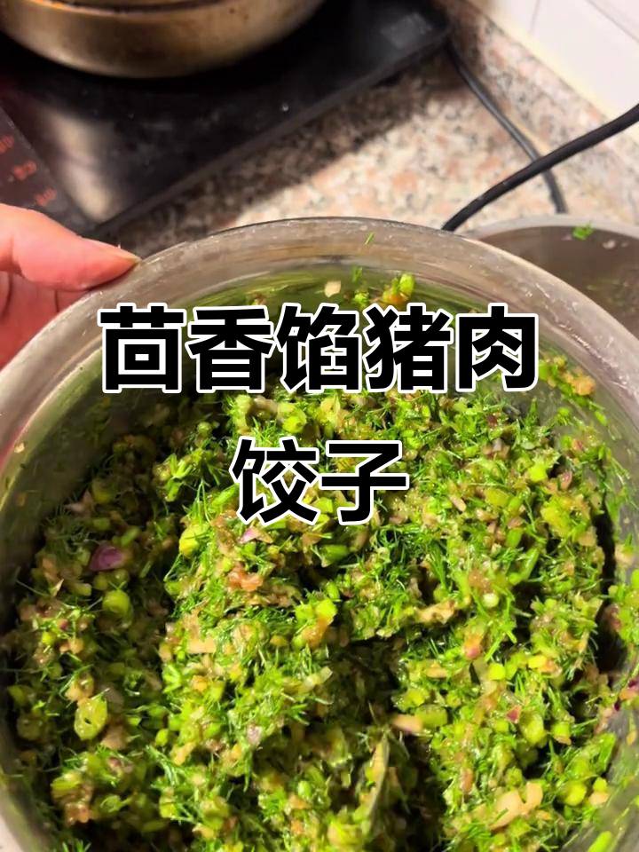 茴香猪肉饺子做法,轻松学会这道美味家常菜