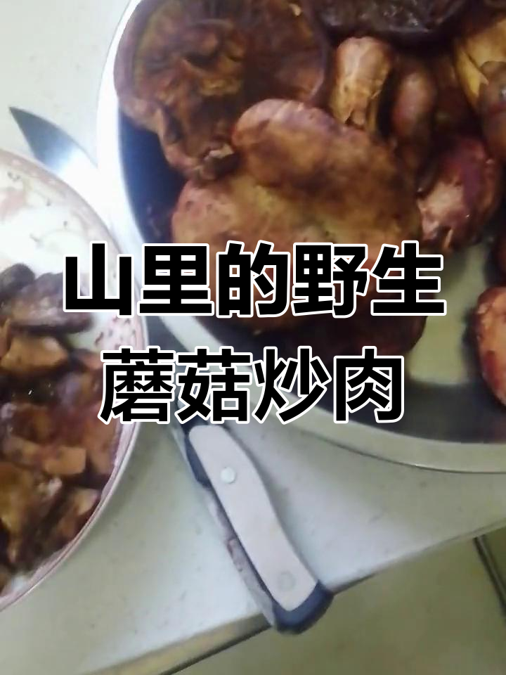 山上采摘的野蘑菇炒肉,鲜美又营养