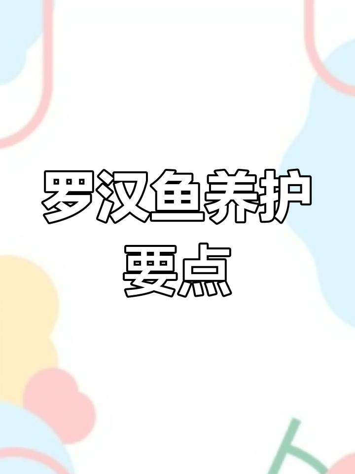 罗汉鱼饲养技巧与水质要求