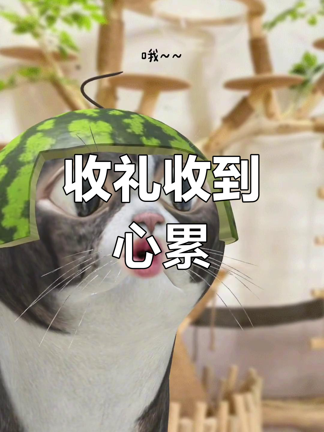 办个碗架子也收礼,真是韭菜收割机!