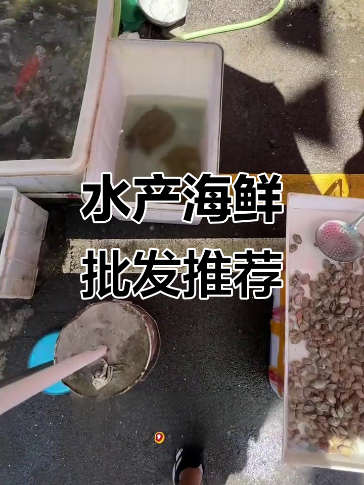 泰安水产海鲜大揭秘,批发市场推荐