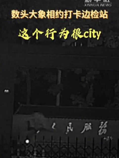 「数头大象相约打卡边检站 这个行为很city」日前,云南磨憨出入境边防检查站营区内来了一群