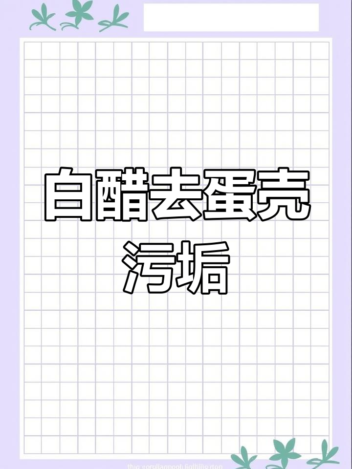 白醋泡鸡蛋,竟然有这么多神奇作用!