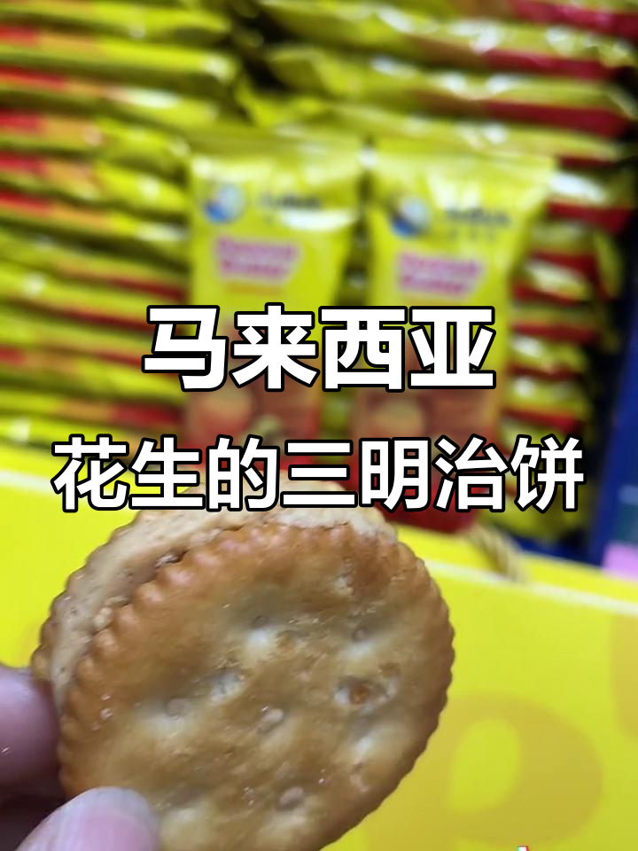 马来西亚花生三明治饼干,咸香酥脆超经典!