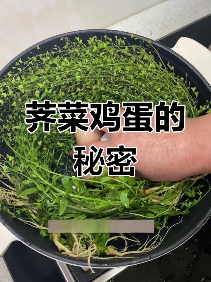 三月三,吃荠菜蛋汤,健康益处你知道吗?
