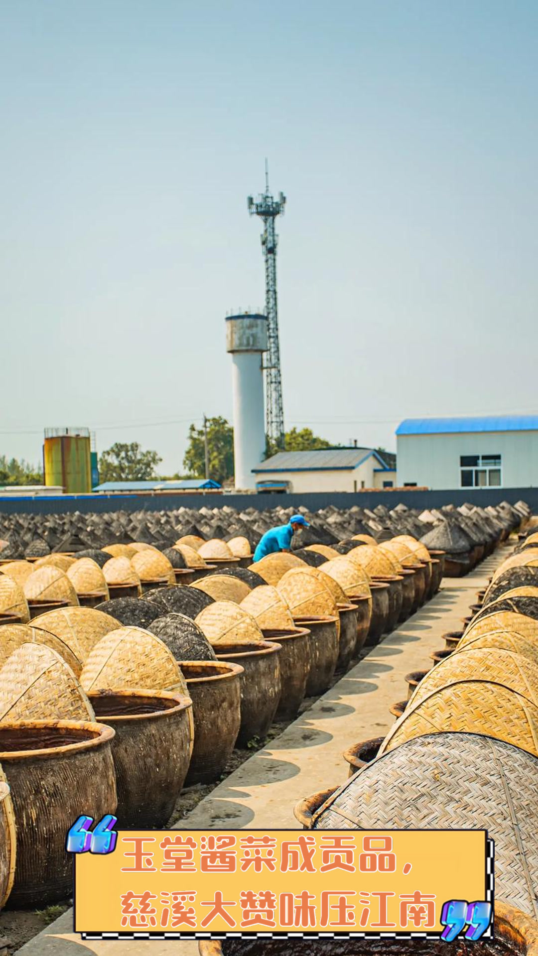 玉堂酱菜成贡品，慈溪大赞味压江南