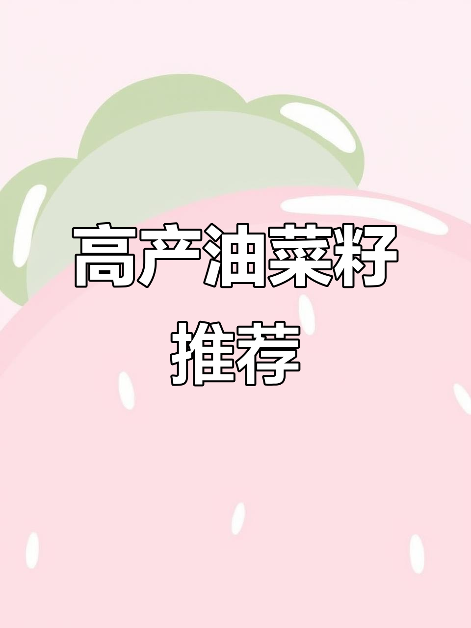 2022年油菜籽新品种,矮杆高产高油,种植户必看