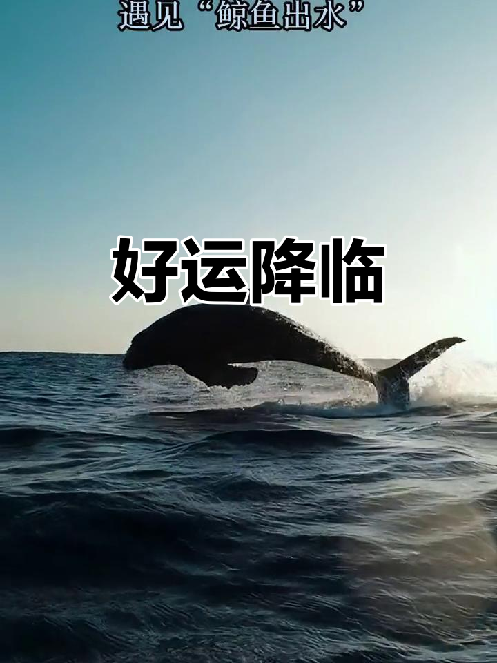 奶奶说,鲸鱼出海预示好运,愿你心想事成,成功就在眼前