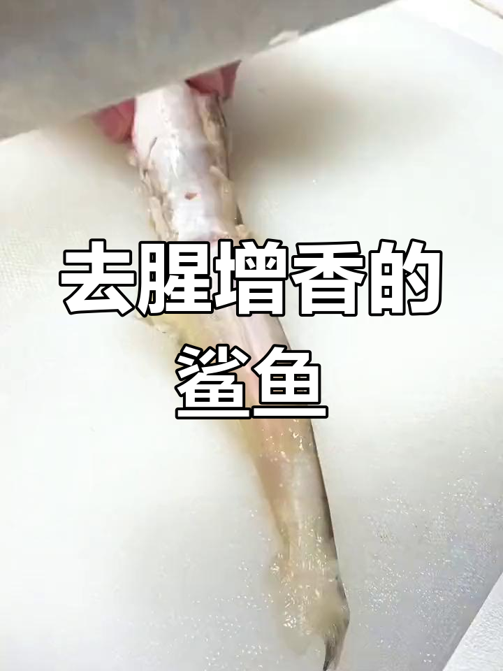 鲨鱼肉去腥增香,鲜嫩美味做法