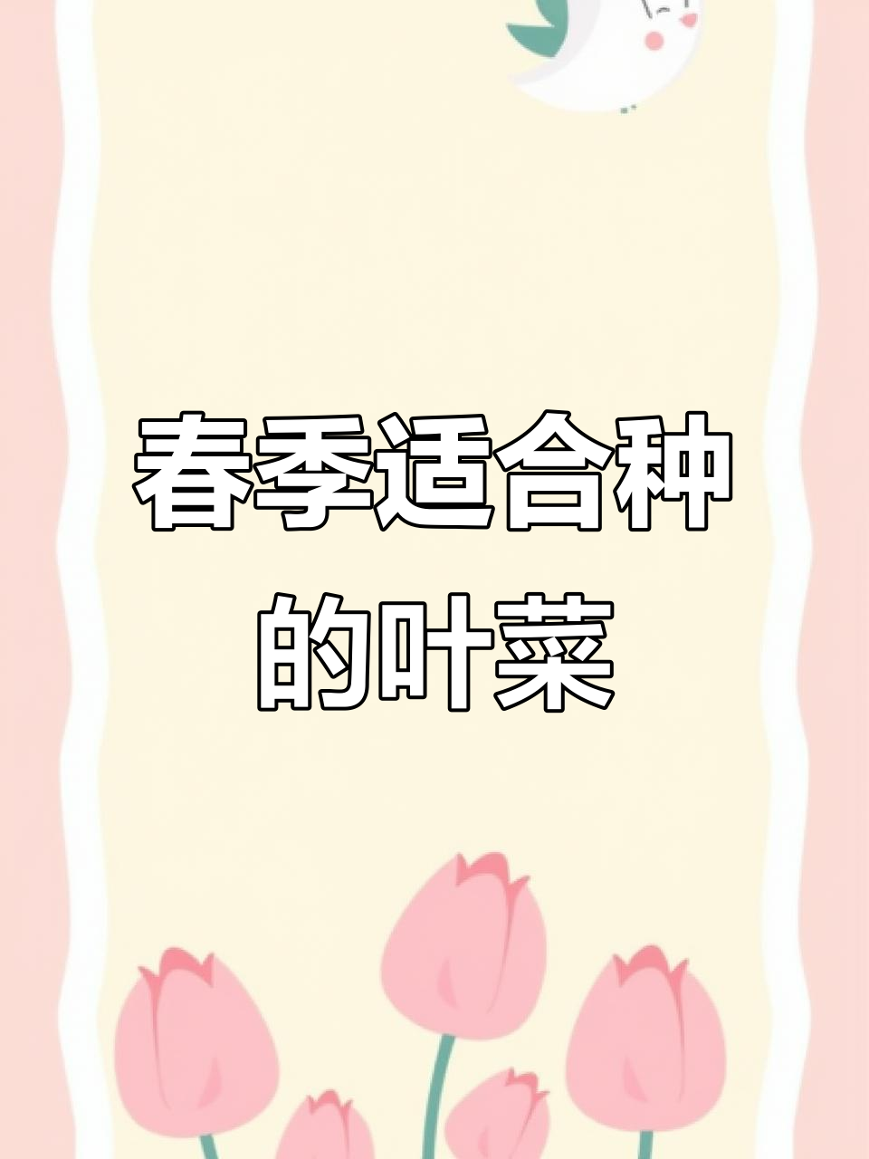 立春后正是种植叶类蔬菜的最佳时机，13种常见品种推荐