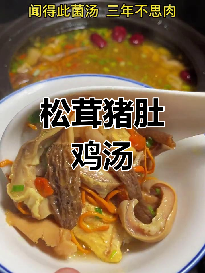 云南山珍猪肚鸡,菌菇汤滋补又美味