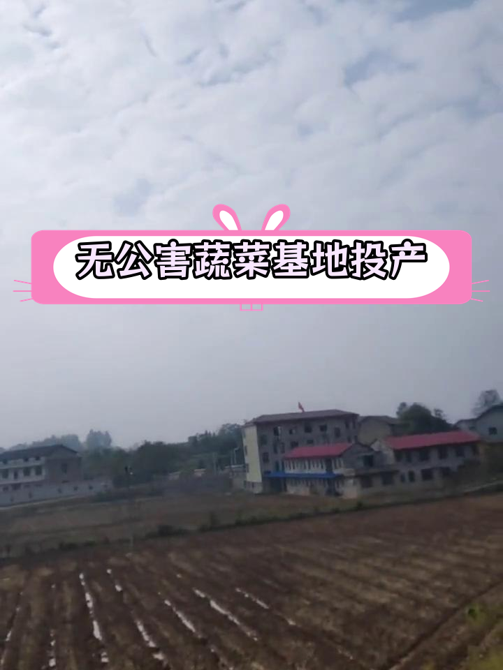 双峰希庄产业园无公害蔬菜基地启动,保障学校企业食堂放心食材